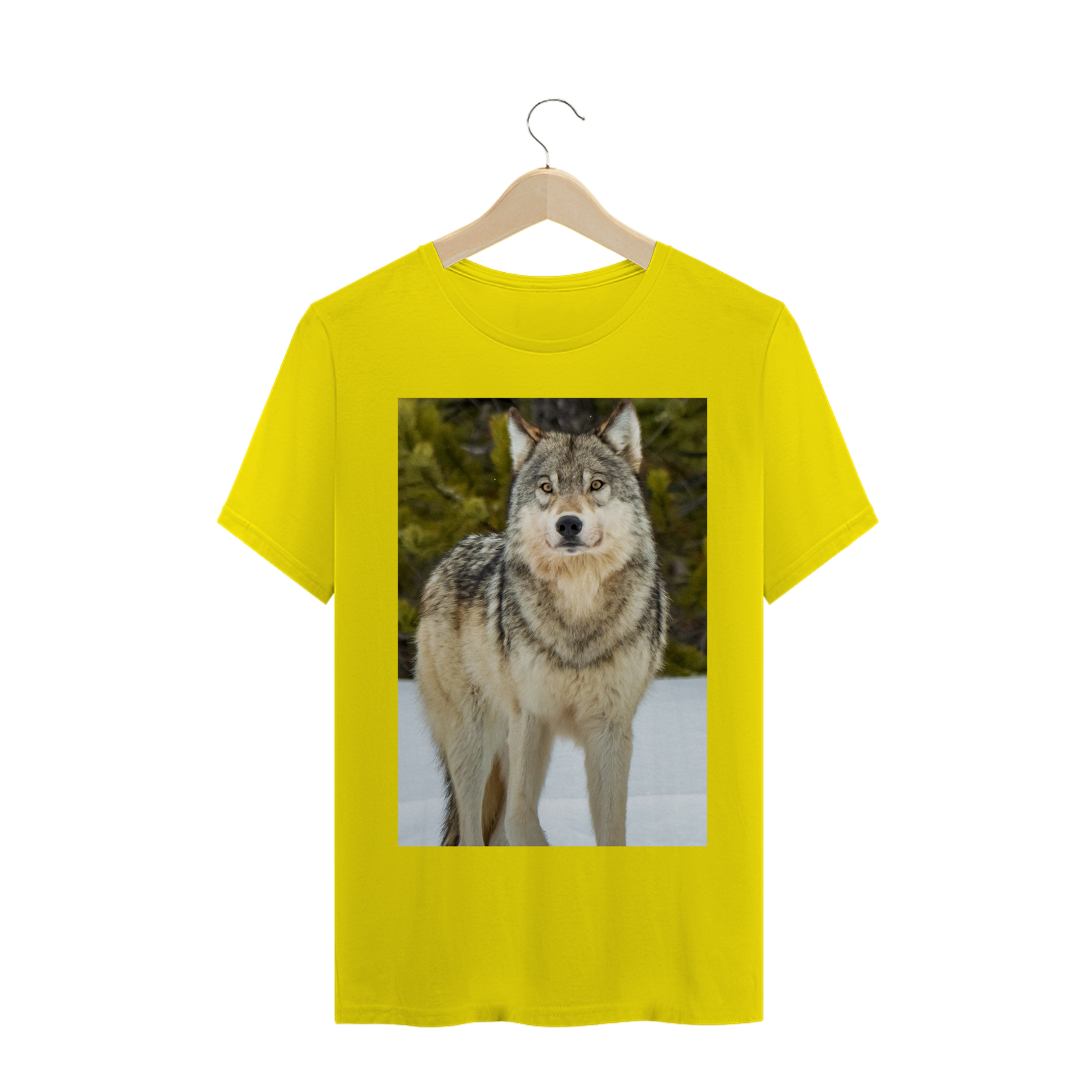 LOBO CINZENTO (Canis lupus)