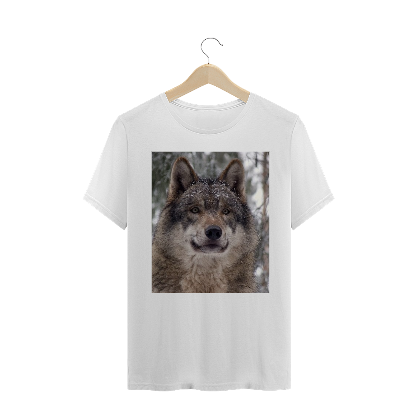 LOBO CINZENTO CLOSE (Canis lupus)