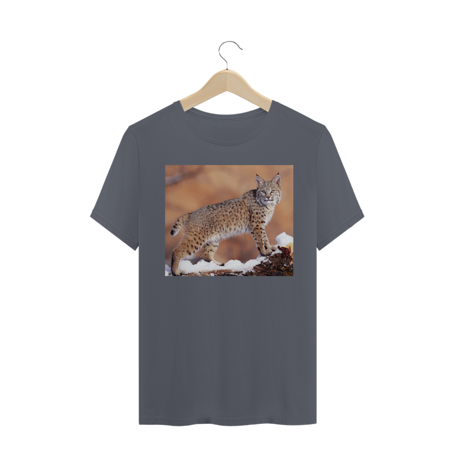 LINCE VERMELHO / BOBCAT (Lynx rufus)