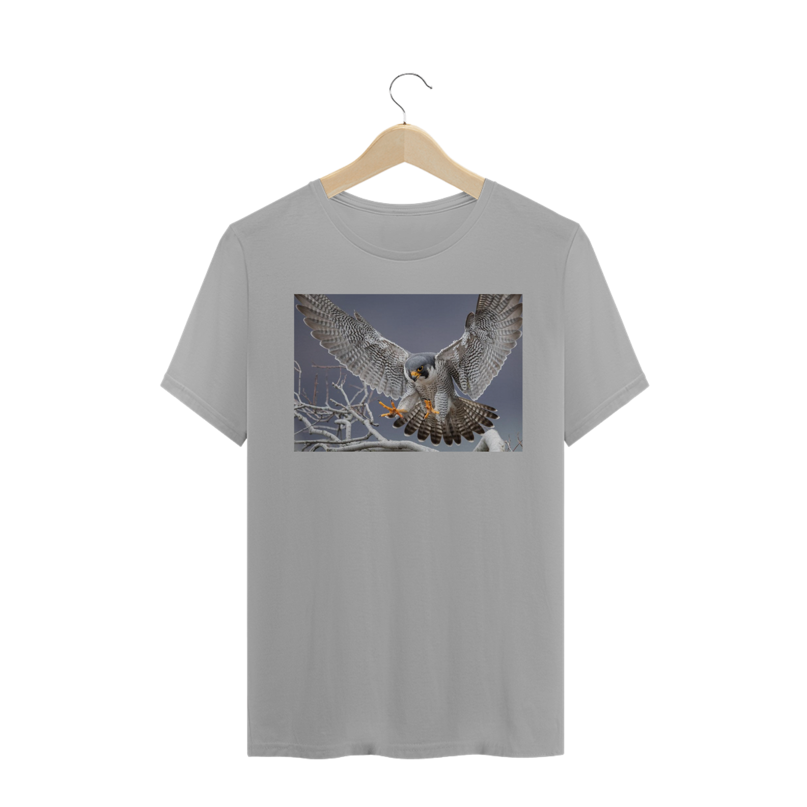 FALCÃO PEREGRINO (Falco peregrinus)