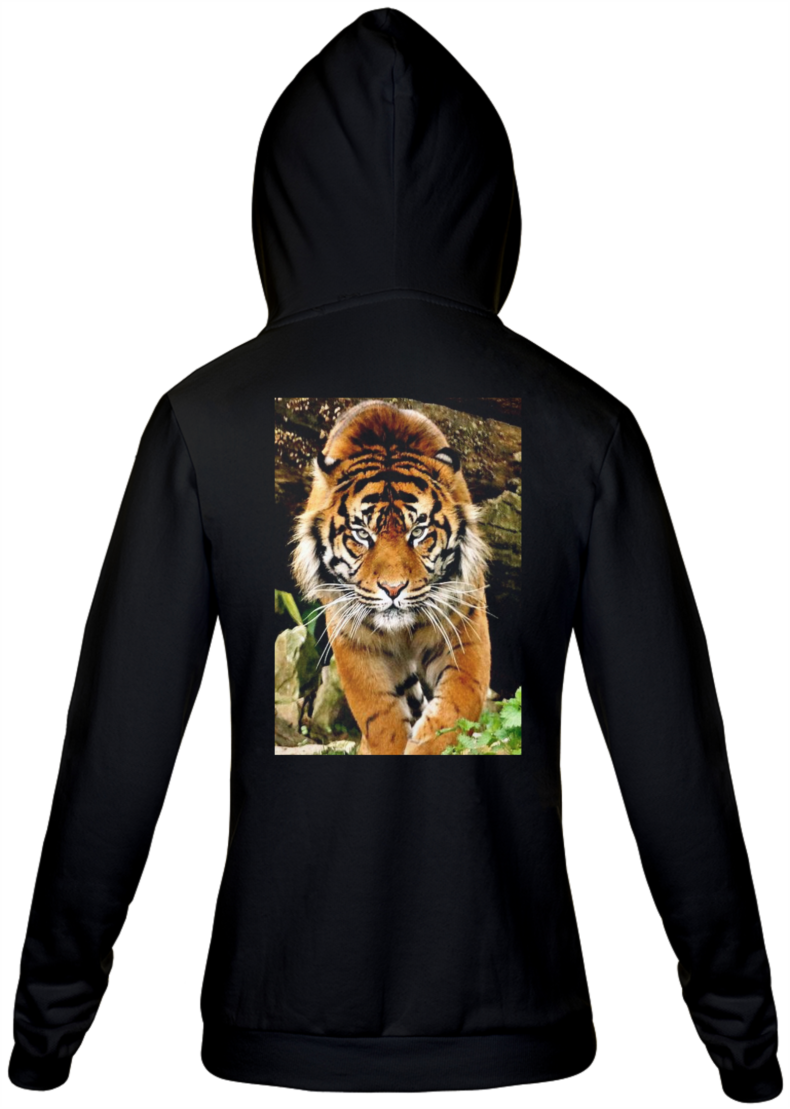 MOLETOM - TIGRE DE SUMATRA