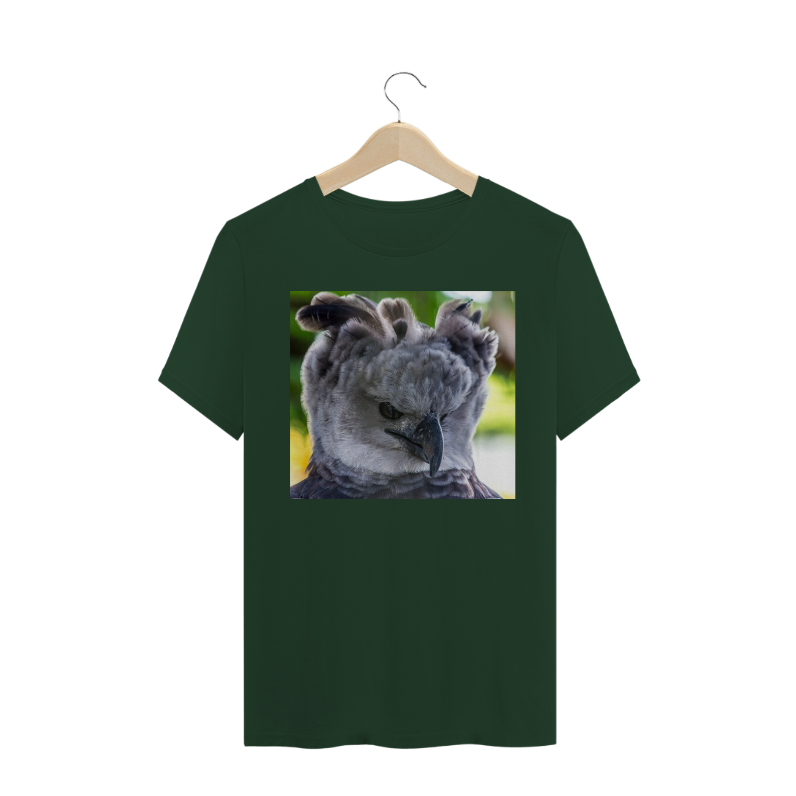 HARPIA (Harpia harpyja)