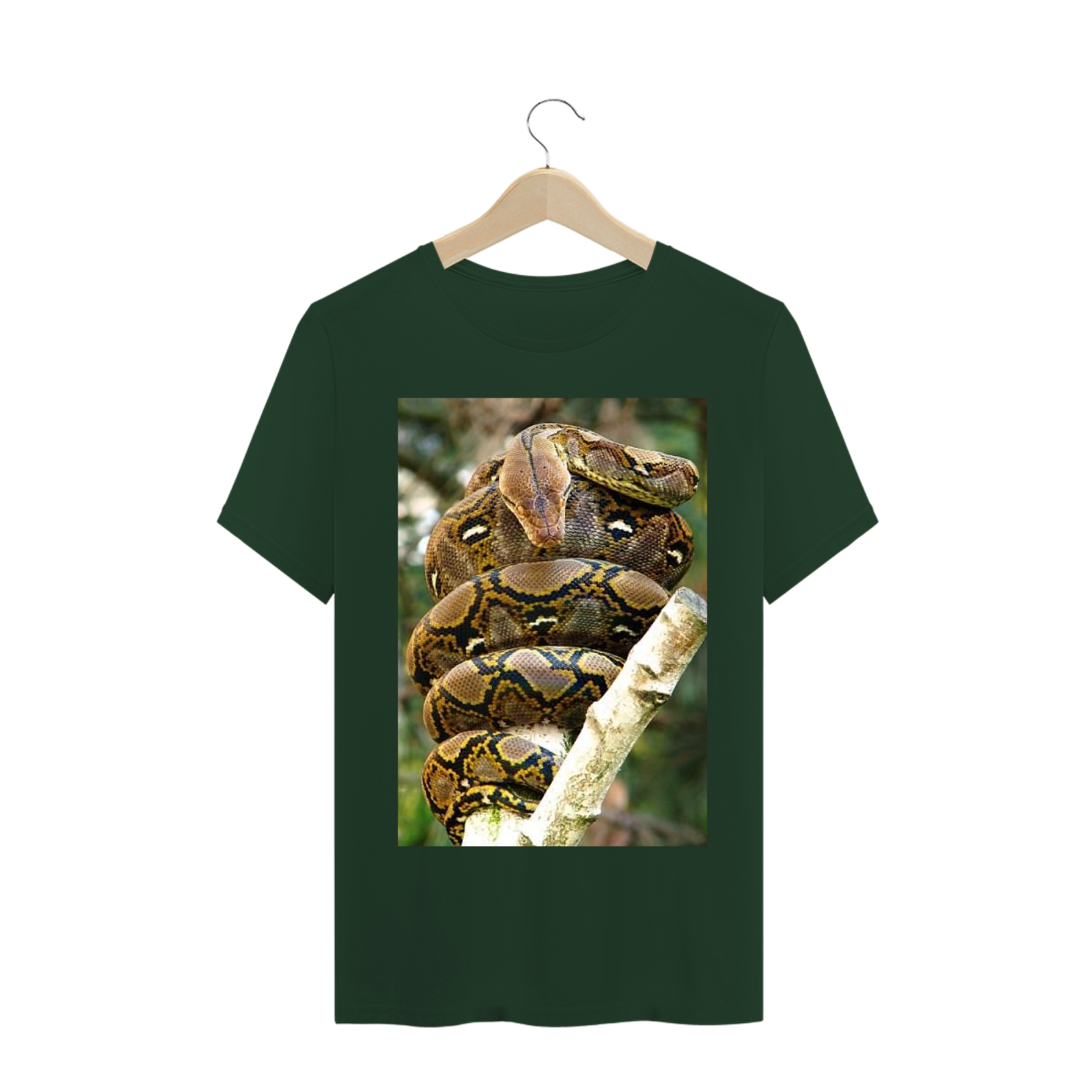 PÍTON RETICULADA (Malayopython reticulatus)