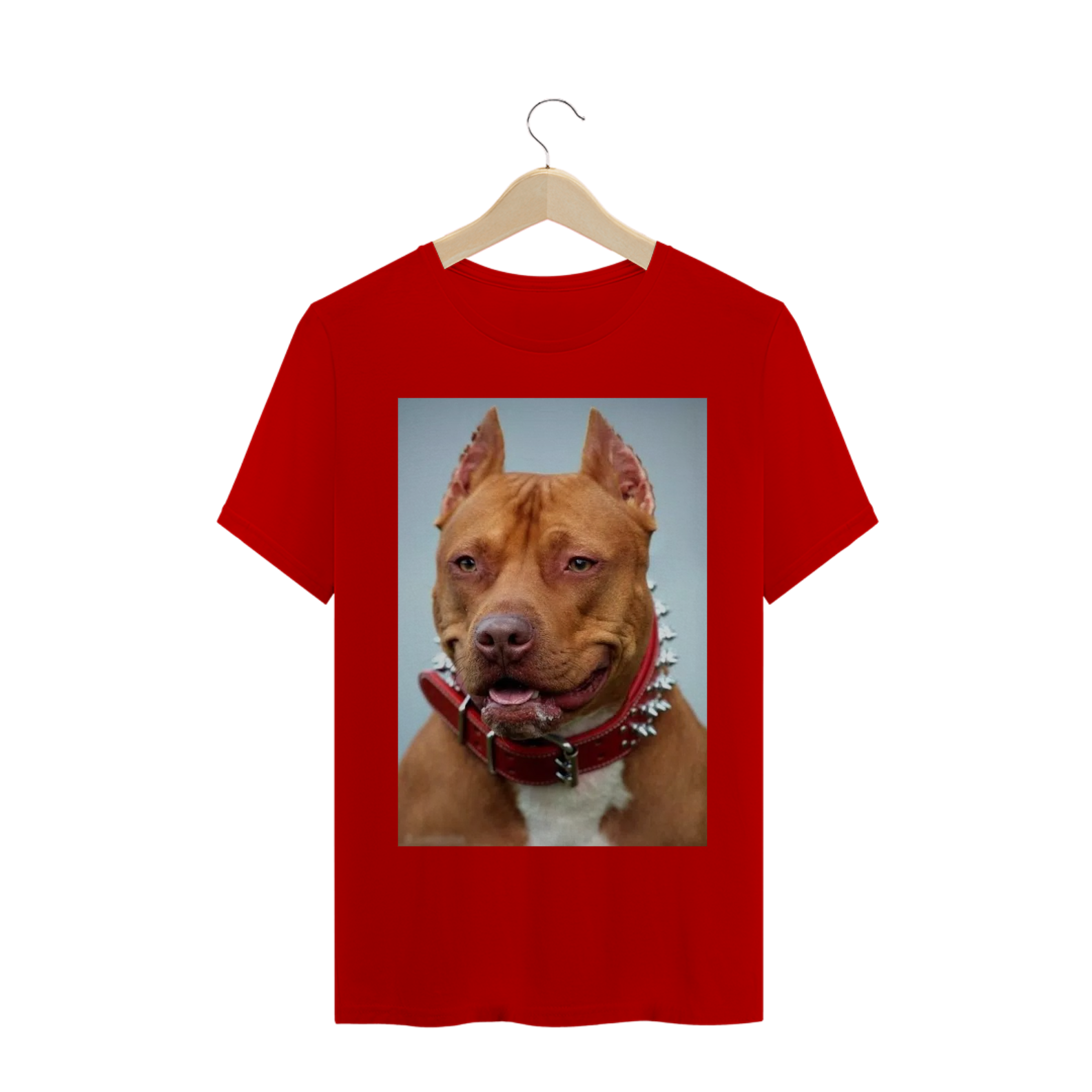 PITBULL / CACHORRO / CÃO