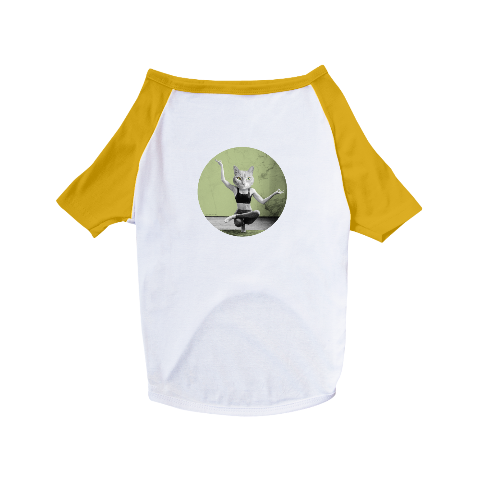 Nome do produto  Camisa Pet | Yoga