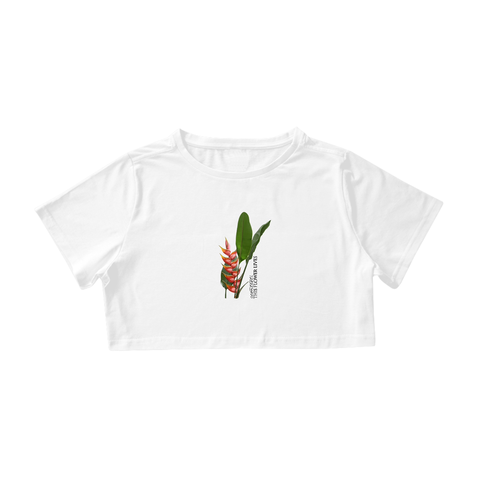 2804231426 CCONTEST TM | CAMISETA TSHIRT CROPPED FEMININA