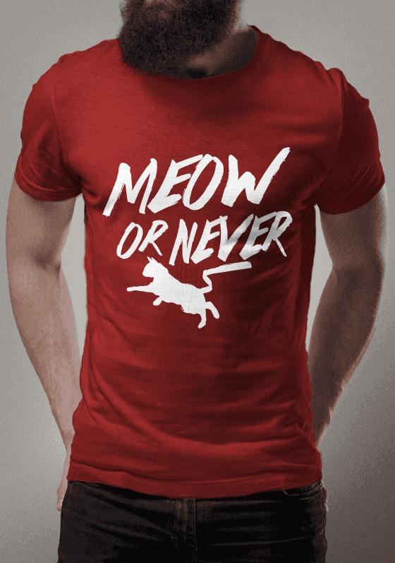 Nome do produto  MEOW OR NEVER