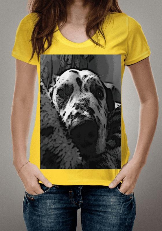 Nome do produto  Gorda