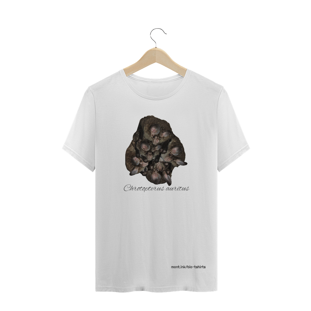 Nome do produto  Chrotopterus auritus B