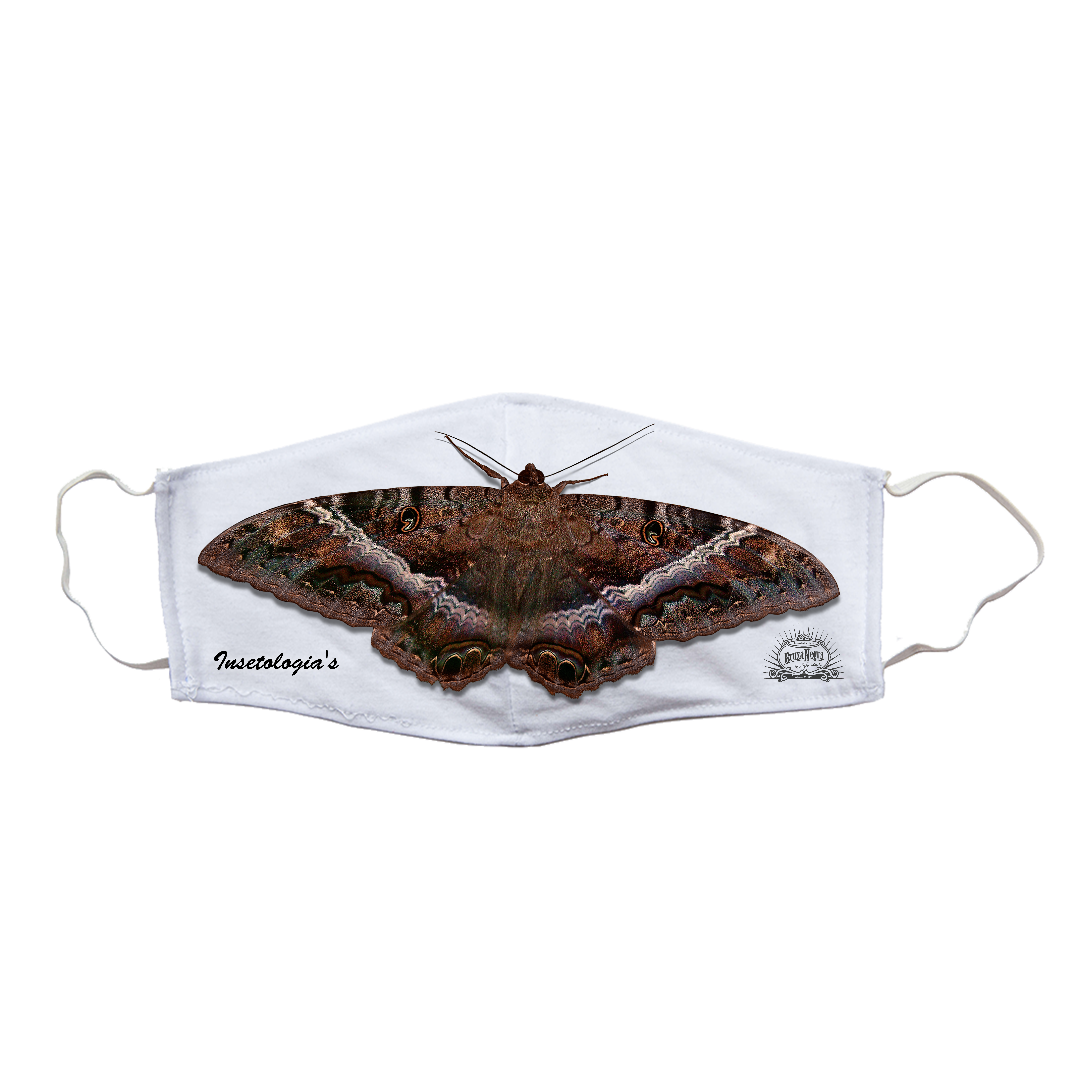 Nome do produto  Máscara Bruxa Negra