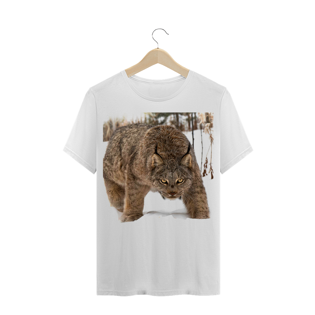 LINCE CANADENSE - FELINO / FELINOS