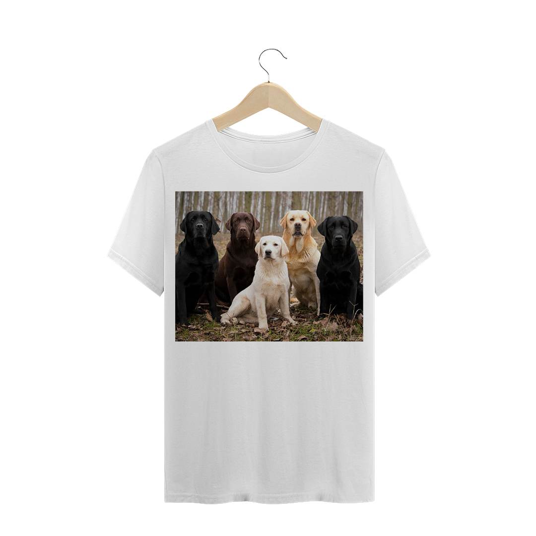 CÃO LABRADOR RETRIEVER