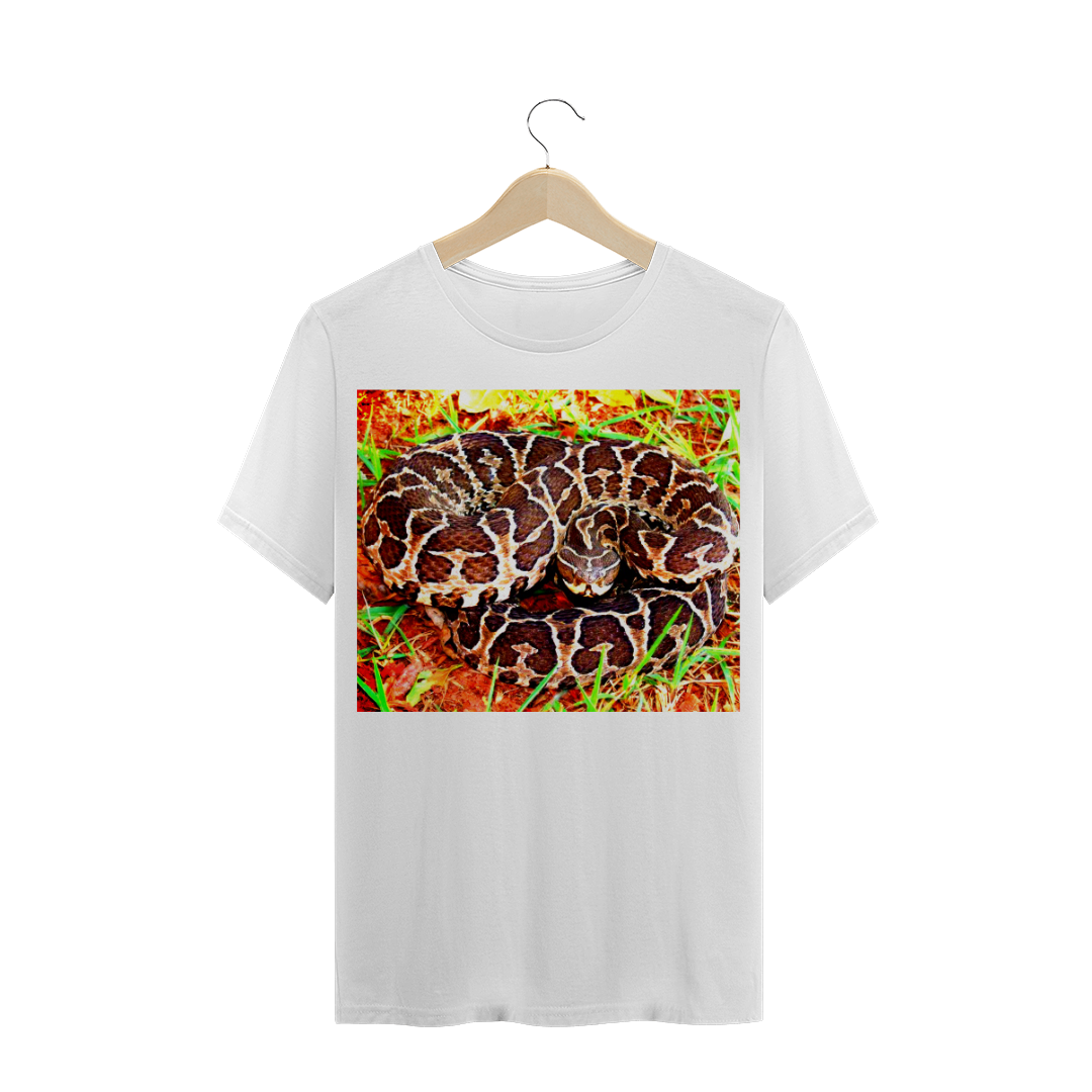 URUTU CRUZEIRO (Bothrops alternatus) - COBRA / SERPENTE