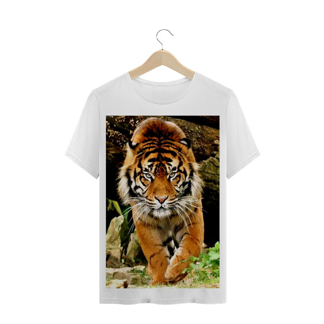 TIGRE DE SUMATRA - FELINO 