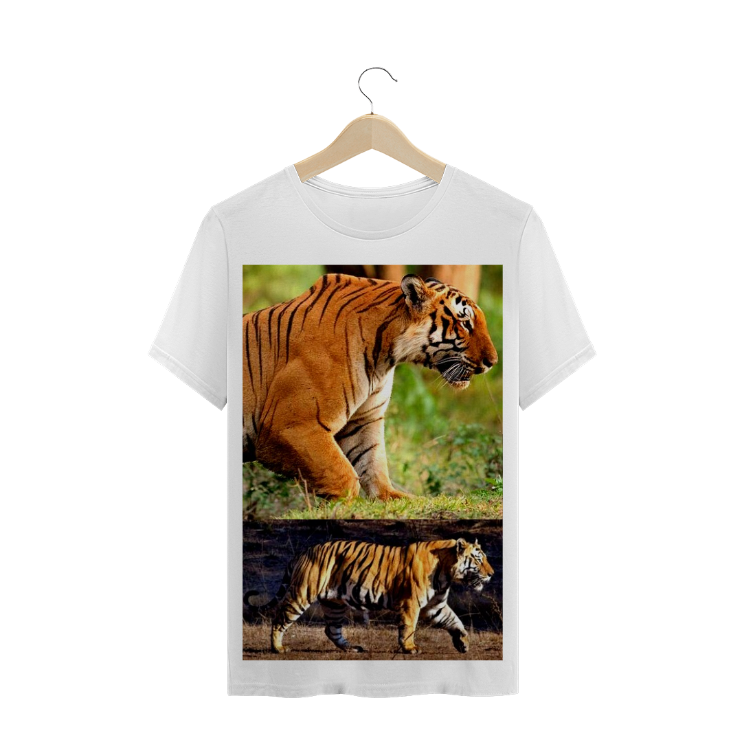 TIGRE DE BENGALA - MUSCULATURA - GRANDES FELINOS - FELINO