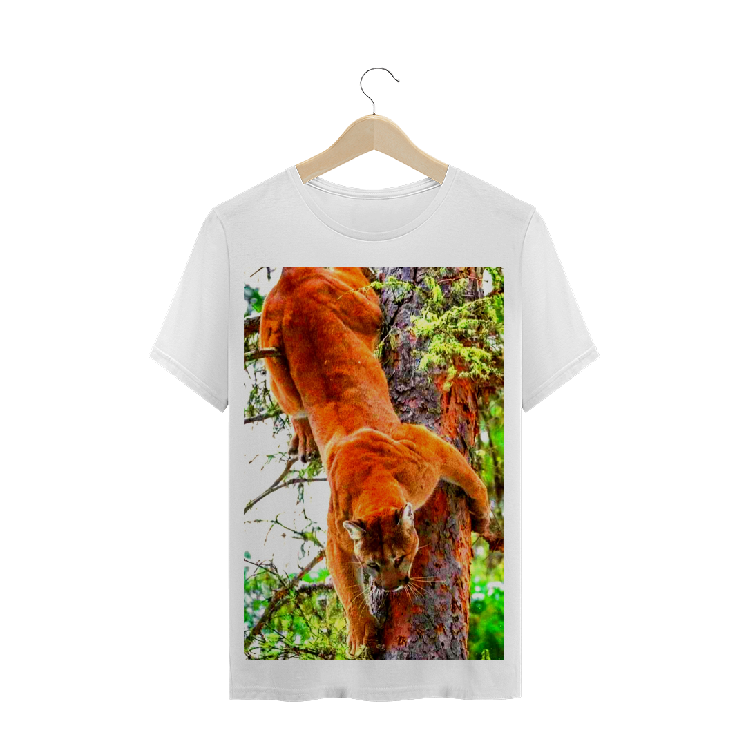 COUGAR / PUMA MUSCULATURA - FELINO