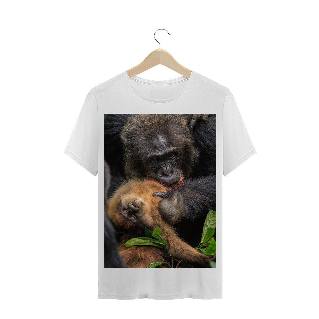 Nome do produto: CHIMPANZÉ PREDANDO UM MACACO COLOBUS VERMELHO (Piliocolobus preussi)