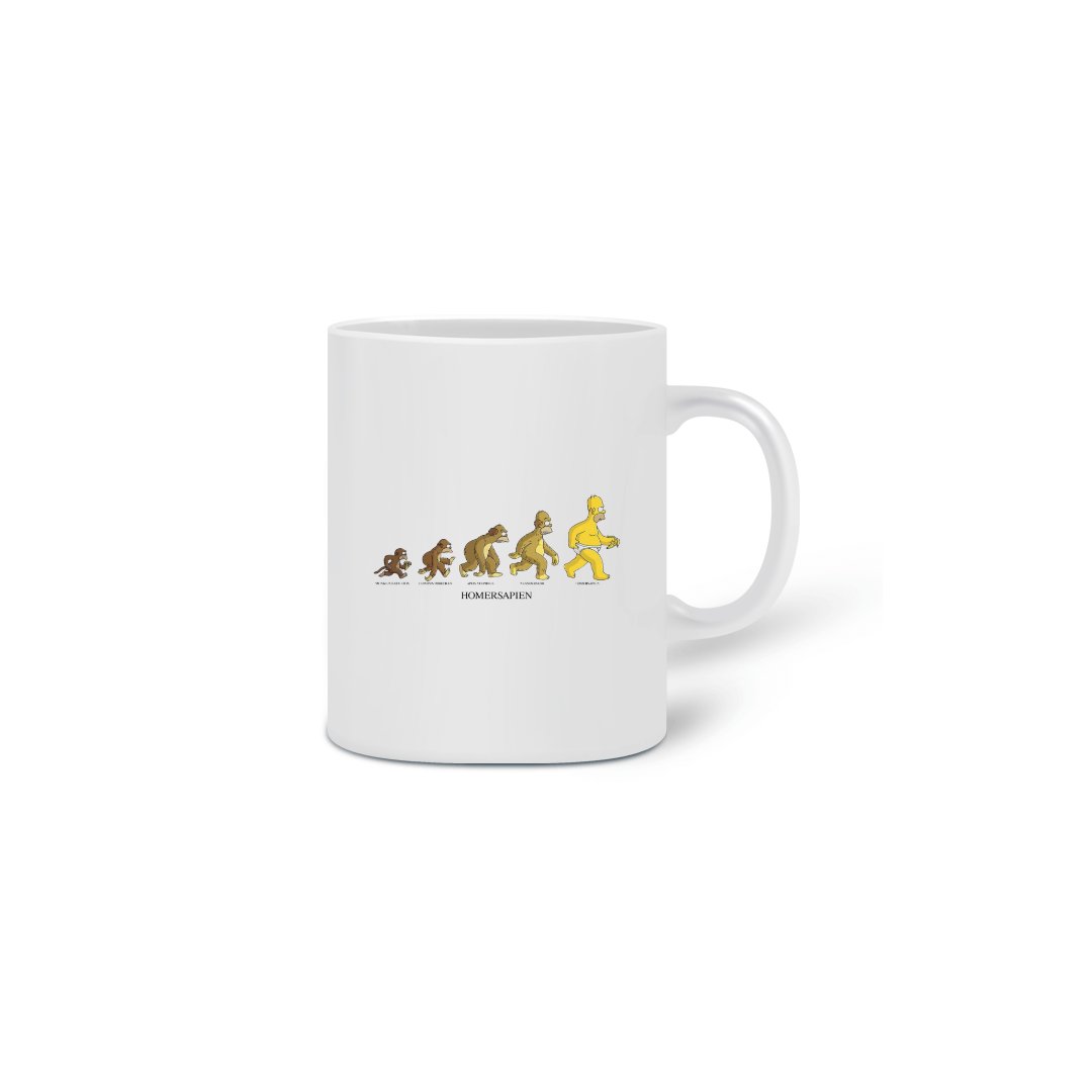 Nome do produto  Evolução homer