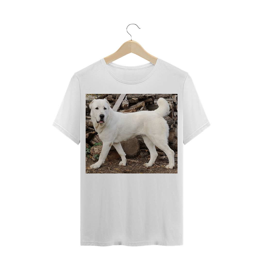 Nome do produto: ALABAI / PASTOR DA ÁSIA CENTRAL / CÃO / CACHORRO