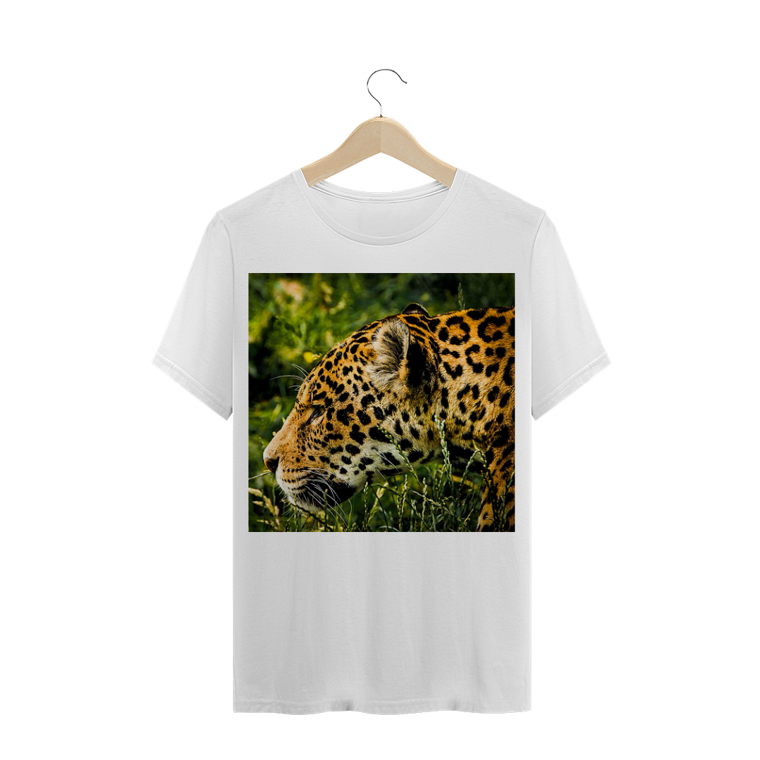 ONÇA PINTADA / GRANDE FELINO / FELINOS