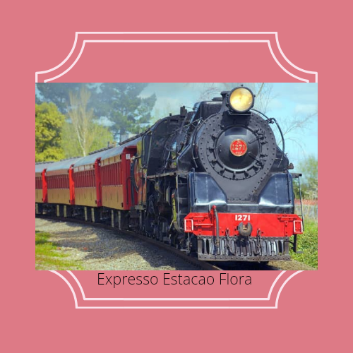 Camisa feminina arizona