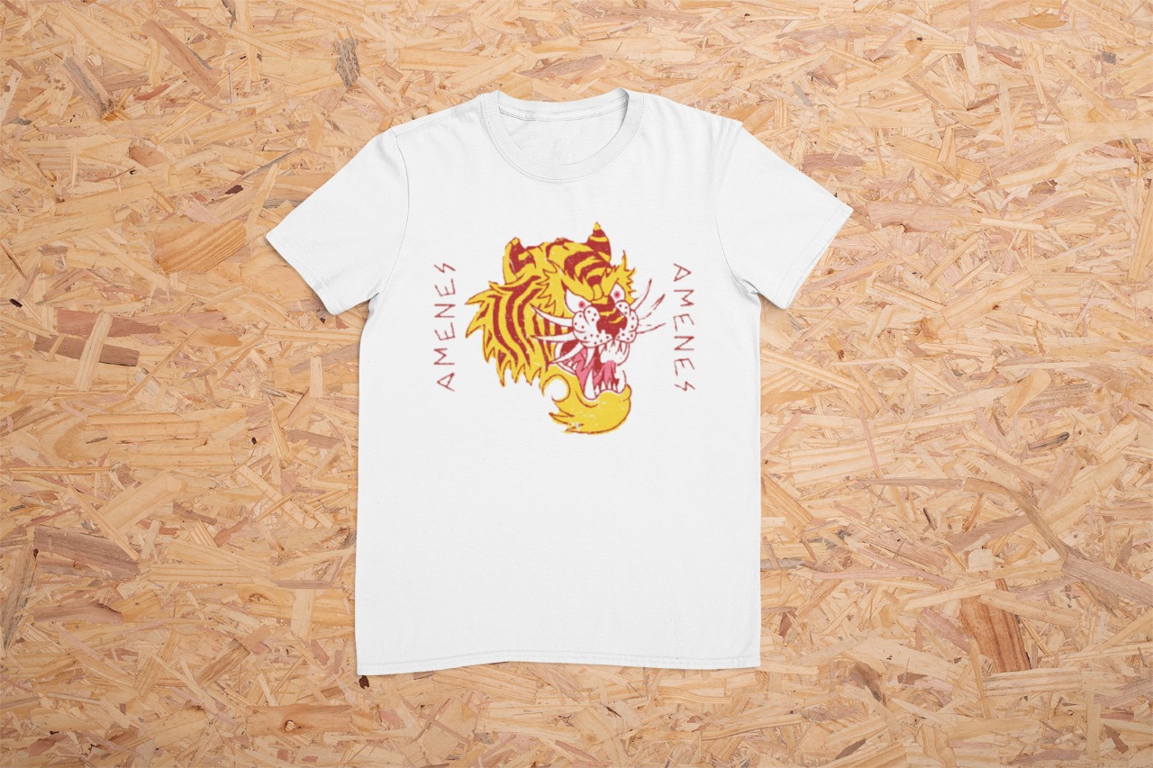 Camiseta Just Amenes