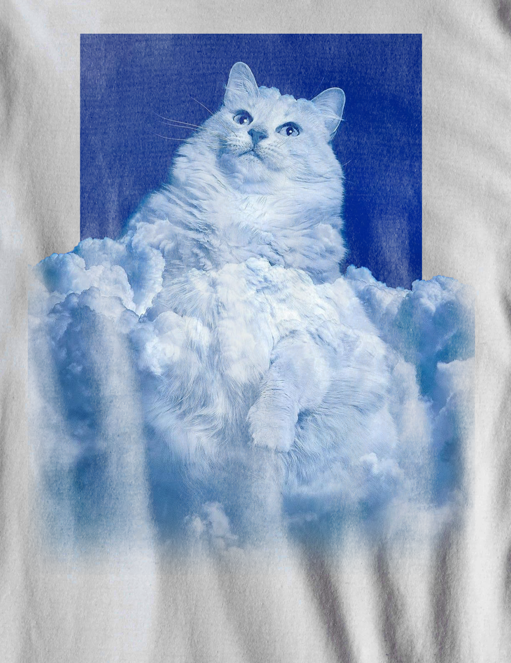 Nome do produto  Camiseta Gato Celeste - (unissex)
