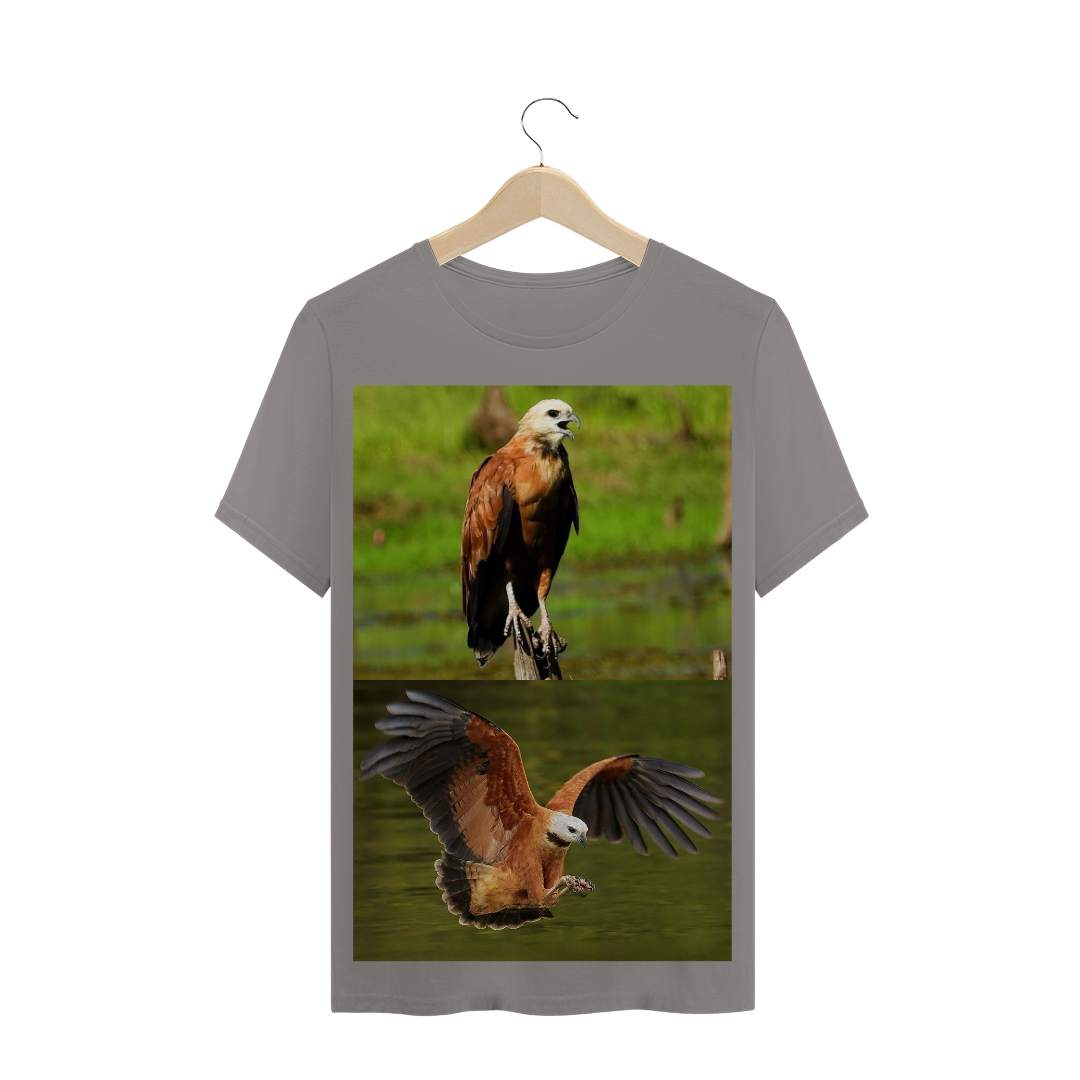 GAVIÃO BELO (Busarellus nigricollis) - AVE