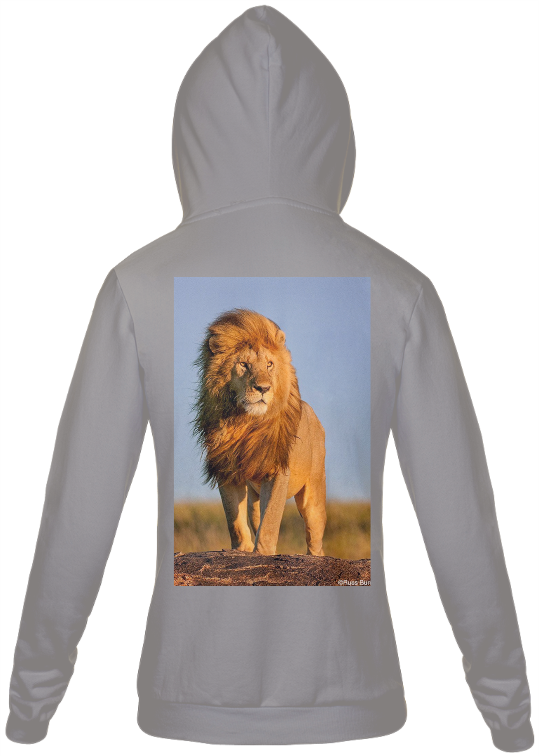 Nome do produto  REI LEÃO