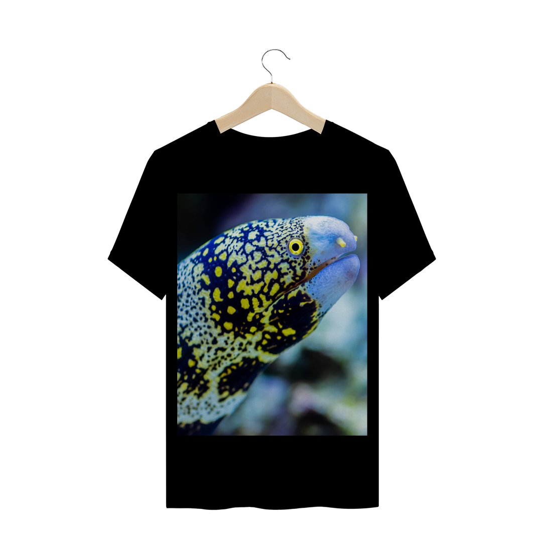 MOREIA ESTRELADA (Echidna nebulosa) - PEIXE