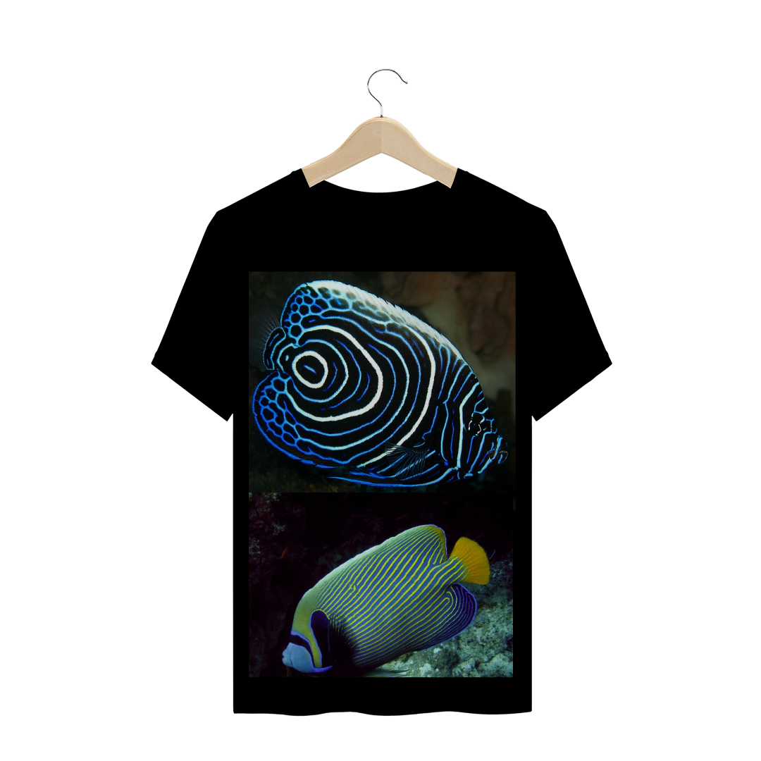 PEIXE ANJO IMPERADOR (Pomacanthus Imperator)