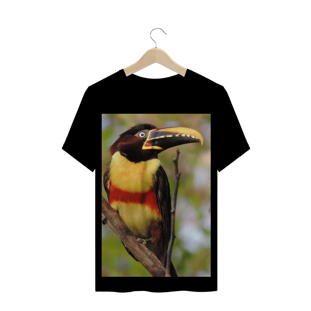 ARAÇARI CASTANHO (Pteroglossus castanotis) - AVE