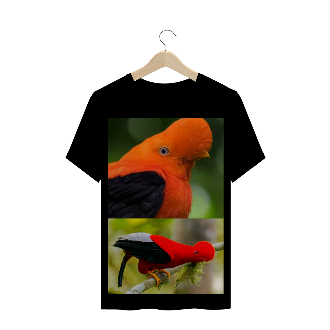 GALO DA SERRA (Rupicola) - AVE