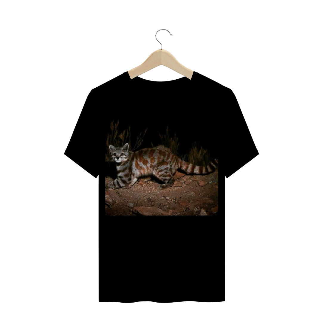 GATO DOS ANDES (Leopardus jacobita) / FELINO