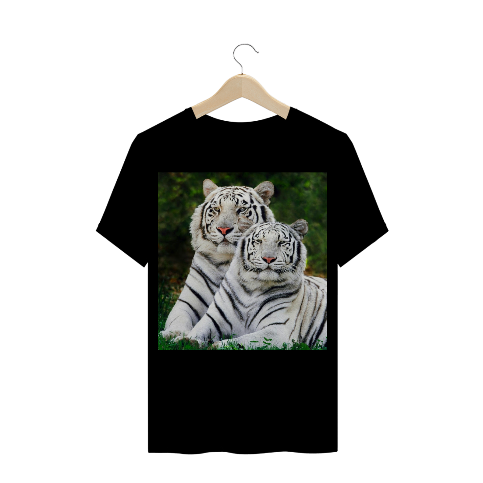 CASAL DE TIGRES BRANCOS