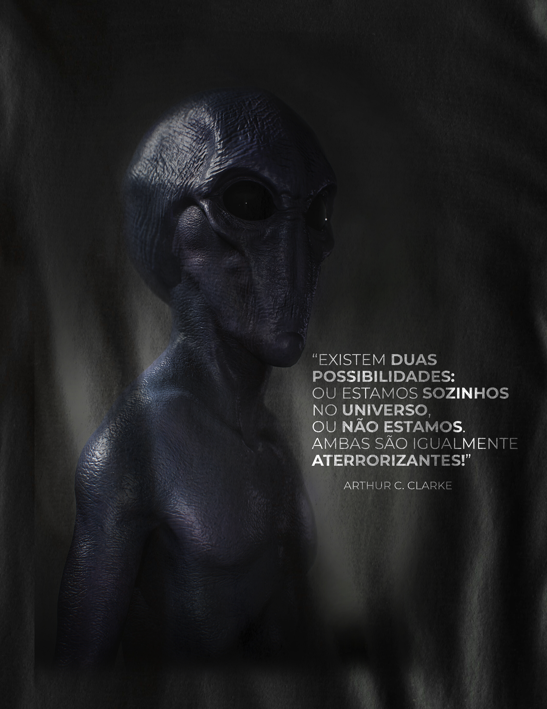 Nome do produto  Camiseta Estamos sós no Universo? - (unissex)