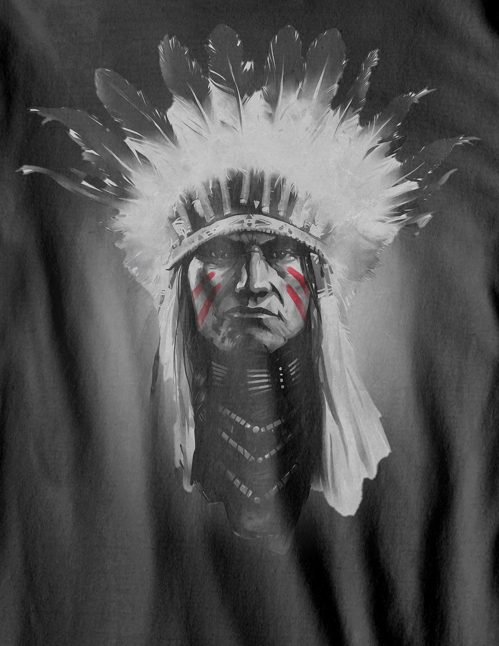 Nome do produto  Camiseta Estonada - O Chefe Índio - (unissex)