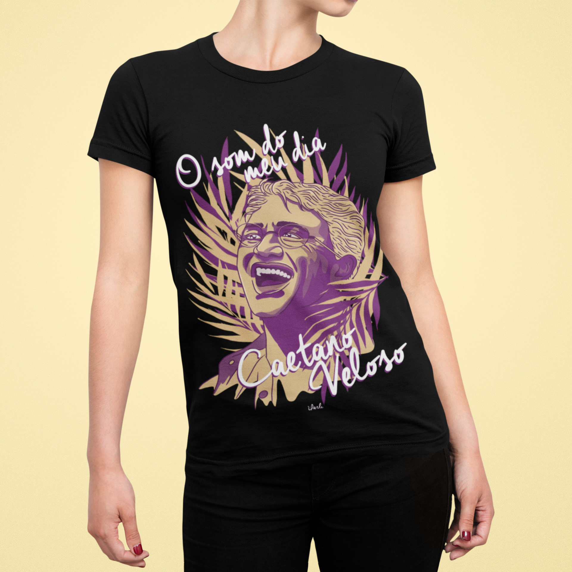 Caetano Veloso - O Som do Meu Dia