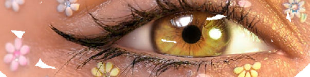 Nome da loja  divineagle