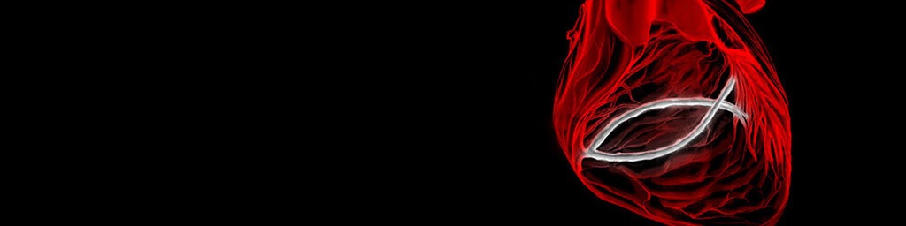 Nome da loja  transformai-vos