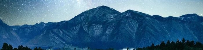 Nome da loja  petfrango