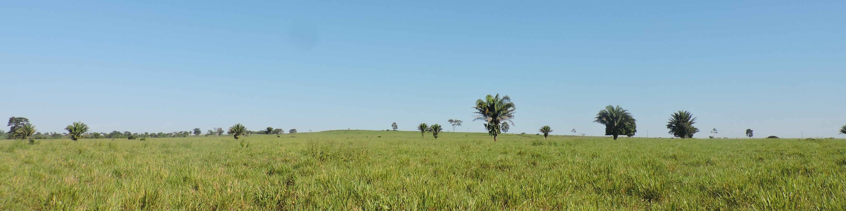 Nome da loja  bio-tshirts