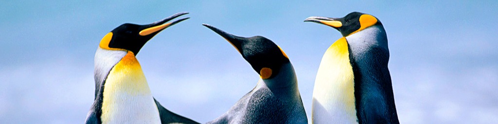 Nome da loja  LOJA DA LILI