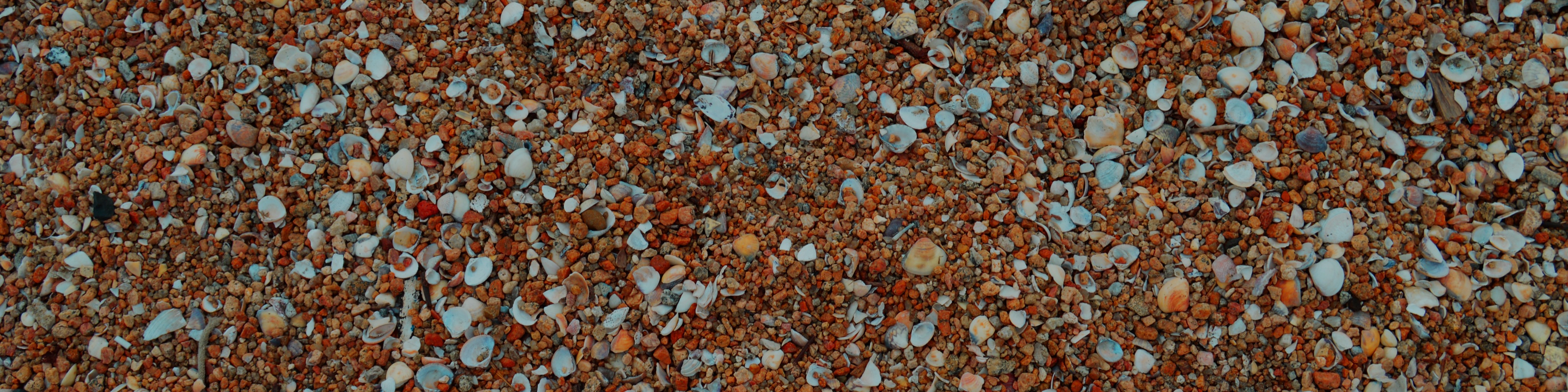 Nome da loja  Leonardo Romaneto