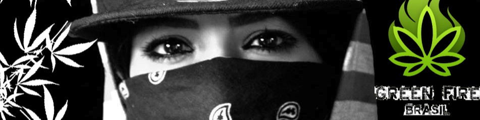 Nome da loja  GreenFire