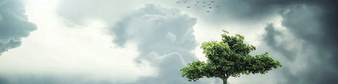 Nome da loja  Leticia Gomes