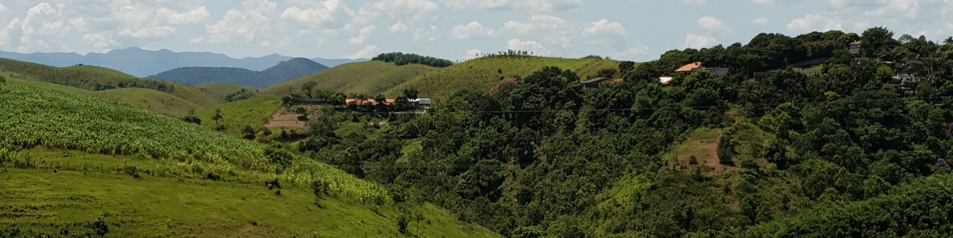 Nome da loja  Igor Henrique