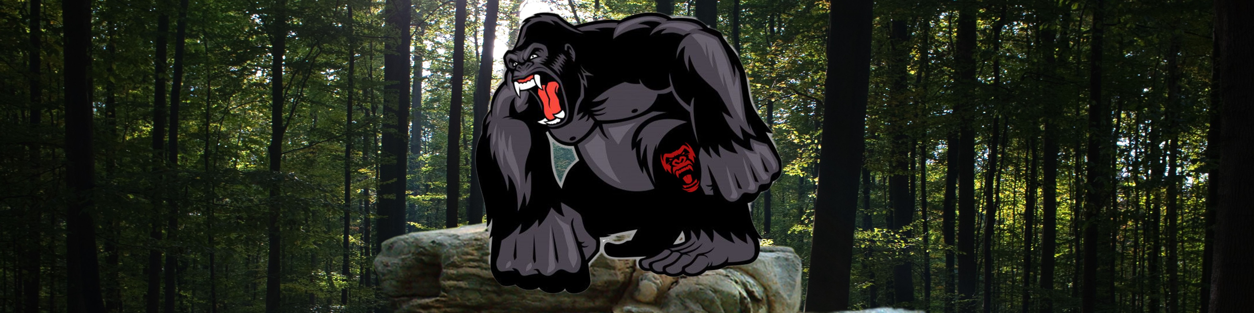 Nome da loja  Alessandro Moreira