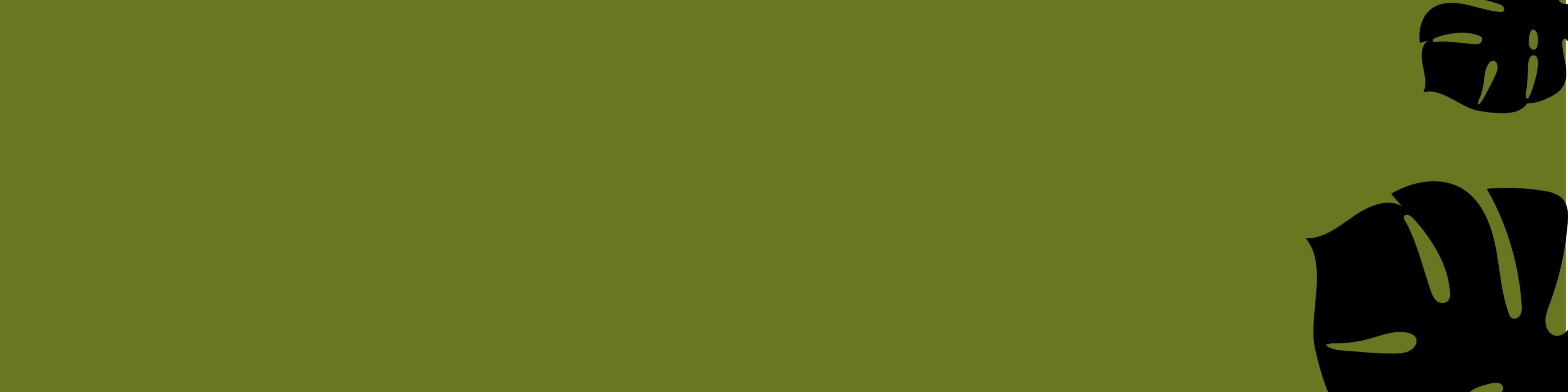 Nome da loja  bra.rt