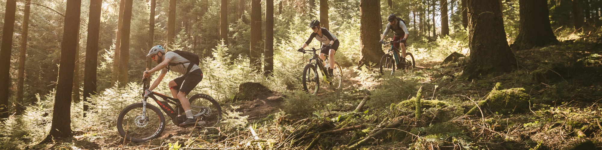 Nome da loja  pedalepico